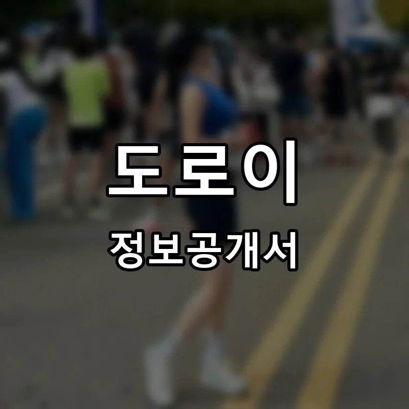 도로이 프랜차이즈 창업 비용 정보공개서 요약