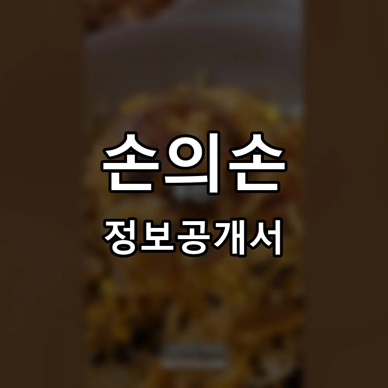 손의손 프랜차이즈 창업 비용 정보공개서 요약