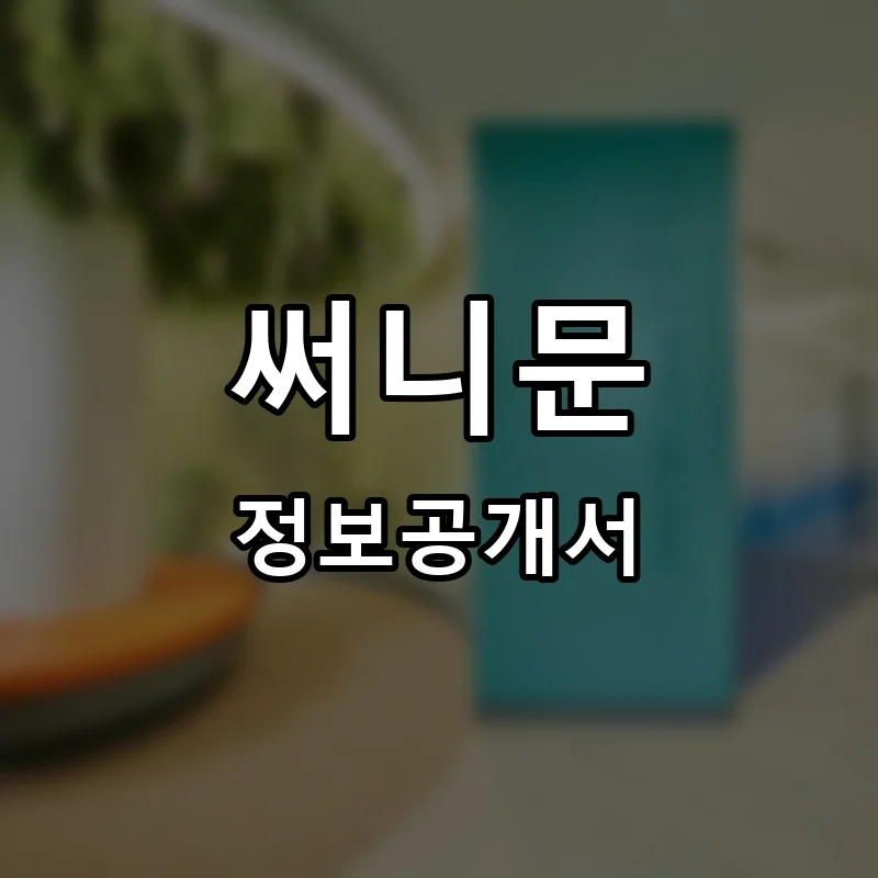 써니문 프랜차이즈 정보공개서