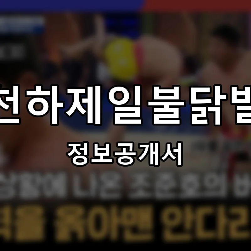 천하제일불닭발 프랜차이즈 창업 비용 정보공개서 요약