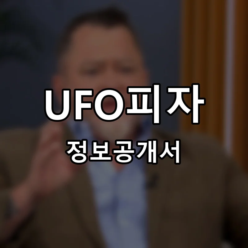 UFO피자 프랜차이즈 창업 비용 정보공개서 요약