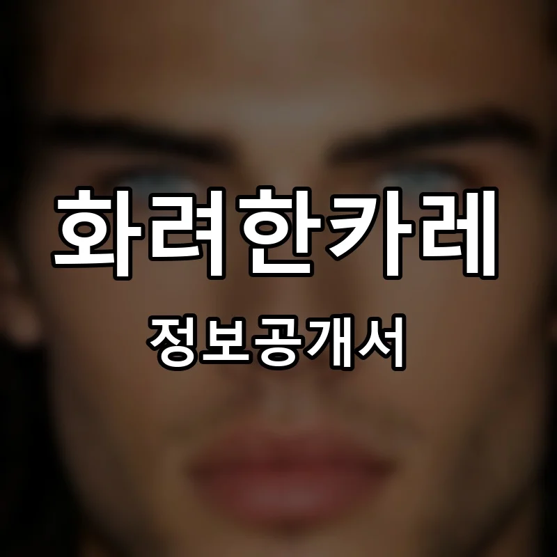 화려한카레 프랜차이즈 정보공개서