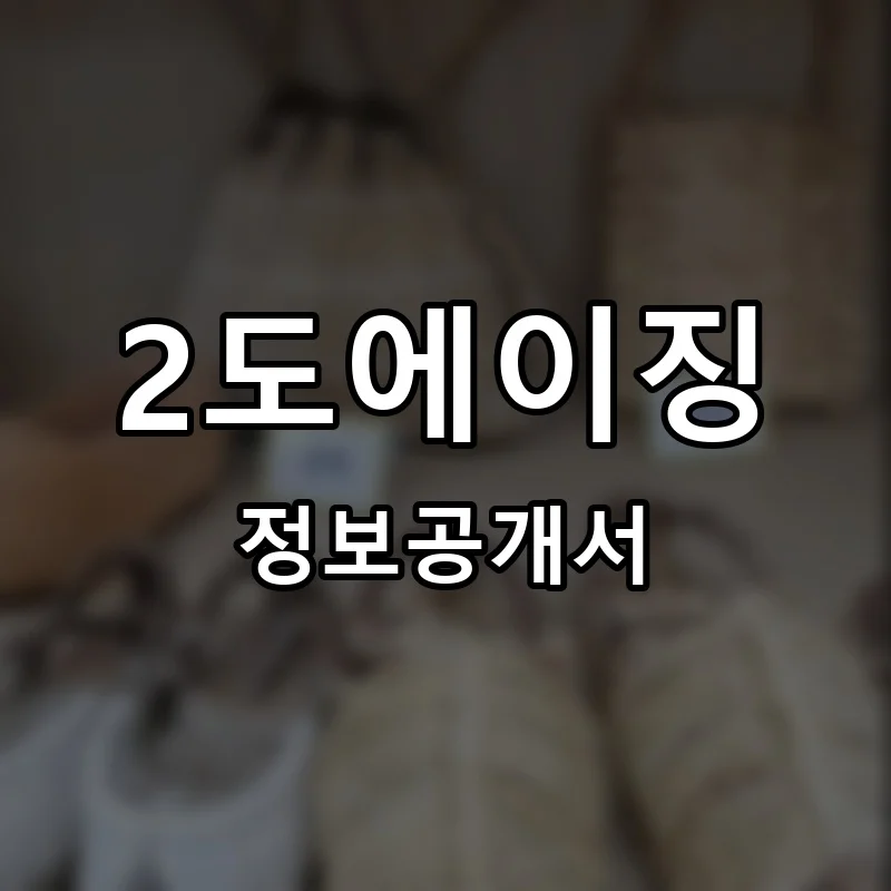2도에이징 창업 프랜차이즈 정보공개서 요약 2025.06.13