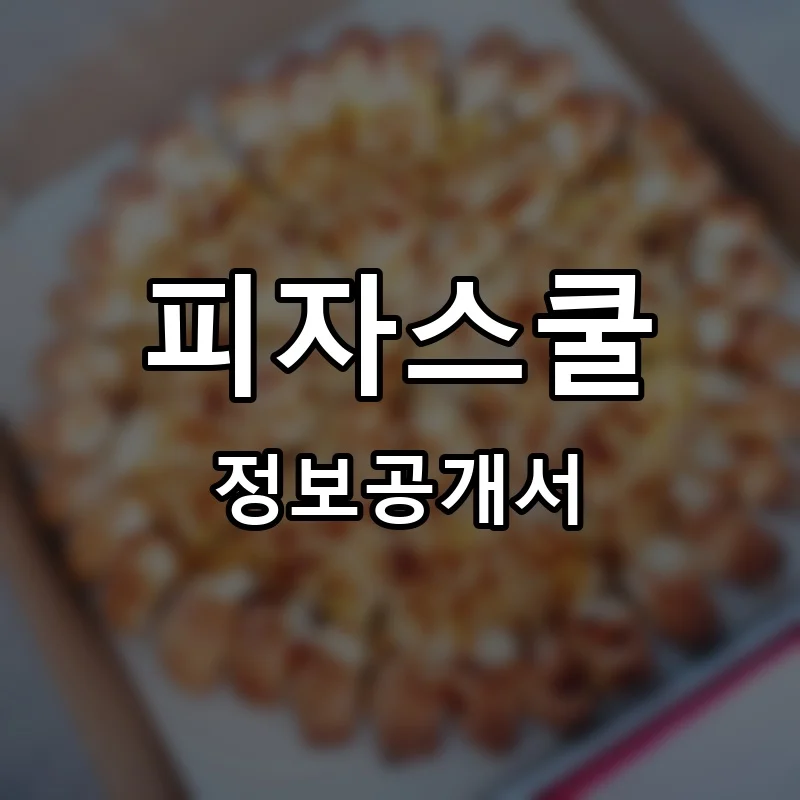 피자스쿨 프랜차이즈 정보공개서