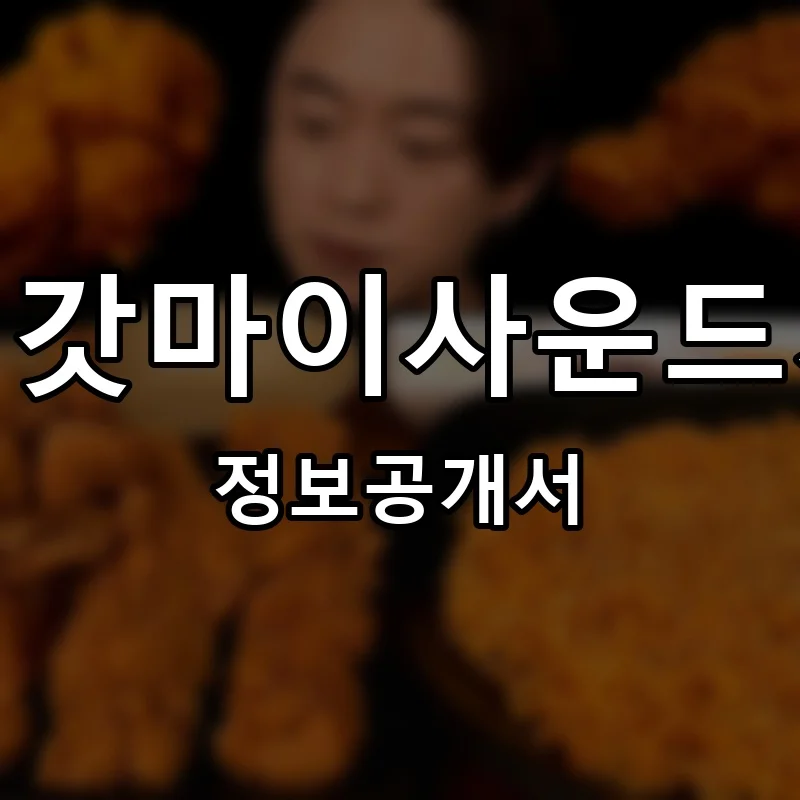아이갓마이사운드치킨 프랜차이즈 창업 비용 정보공개서 요약