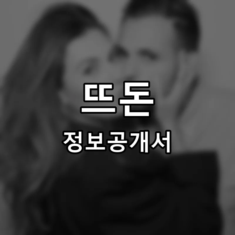 뜨돈(DD’DON) 프랜차이즈 정보공개서 요약