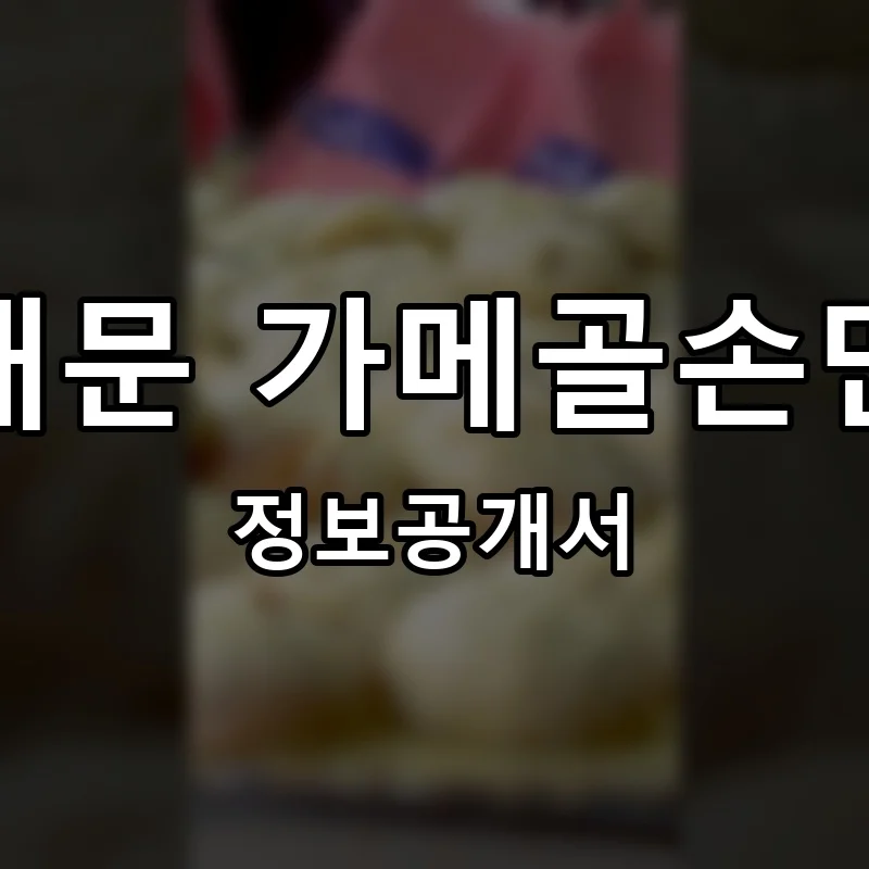 남대문 가메골손만두 프랜차이즈 창업 비용 정보공개서 요약