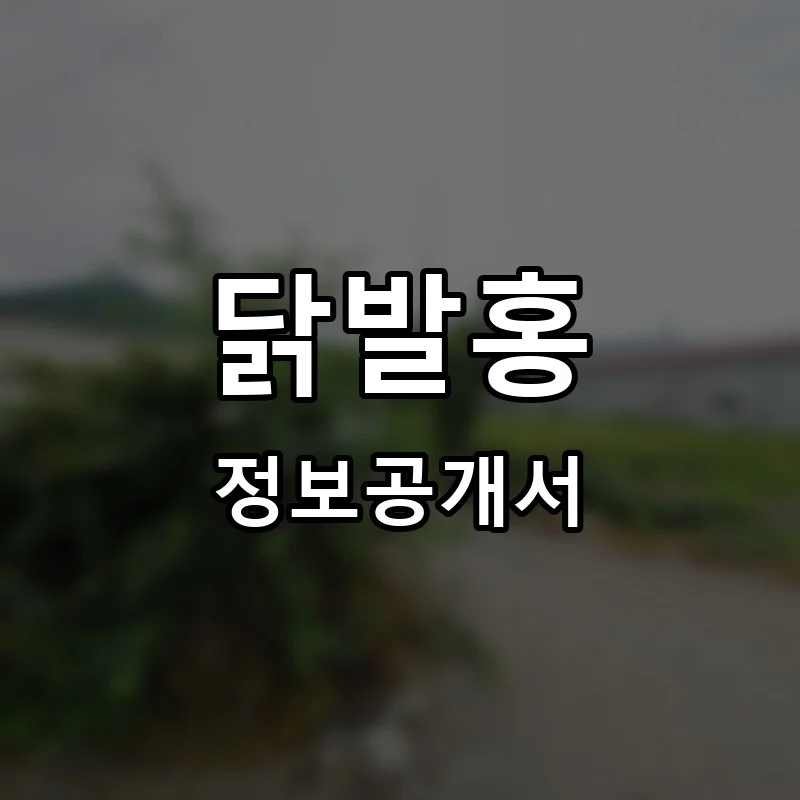 닭발홍 프랜차이즈 창업 비용 정보공개서 요약
