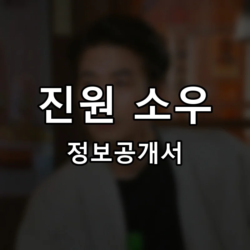 진원 소우 프랜차이즈 창업 비용 정보공개서 요약