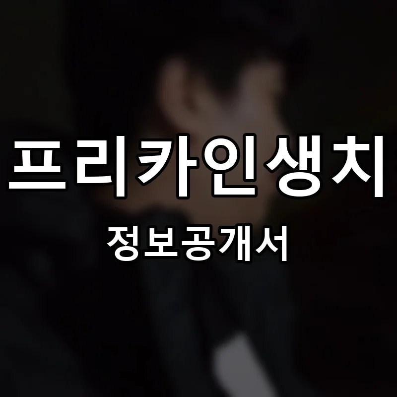 범프리카인생치킨 프랜차이즈 창업 비용 정보공개서 요약