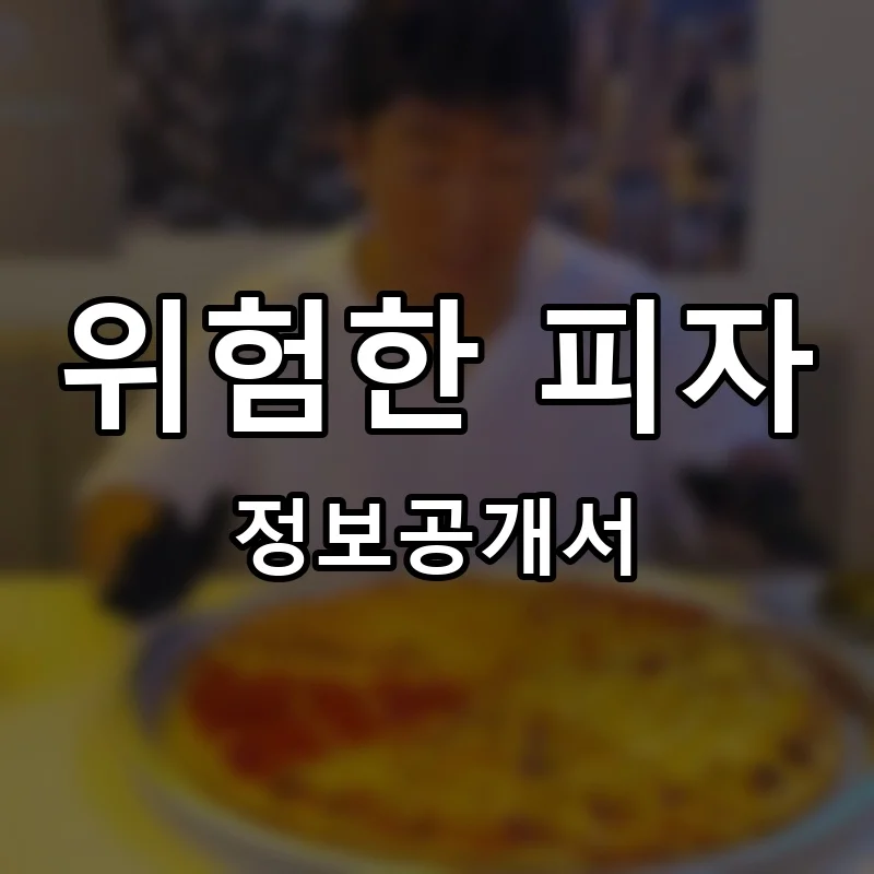 위험한 피자 프랜차이즈 창업 비용 정보공개서 요약