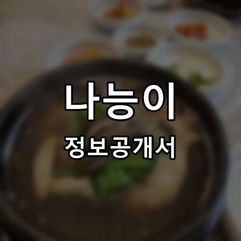 나능이 프랜차이즈 창업 비용 정보공개서 요약