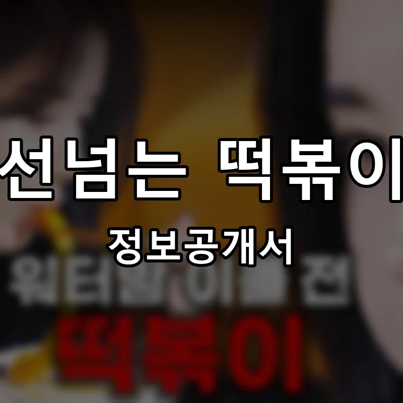 선넘는 떡볶이 프랜차이즈 창업 비용 정보공개서 요약