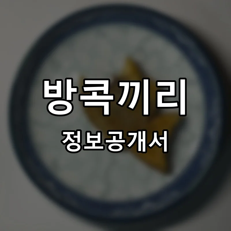 방콕끼리 프랜차이즈 창업 비용 정보공개서 요약