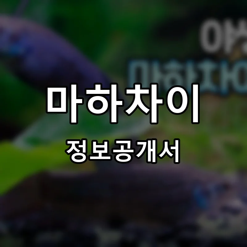 마하차이 프랜차이즈 창업 비용 정보공개서 요약