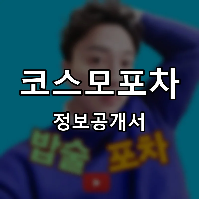 코스모포차 프랜차이즈 창업 비용 정보공개서 요약