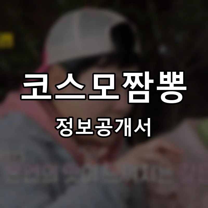 코스모짬뽕 프랜차이즈 창업 비용 정보공개서 요약