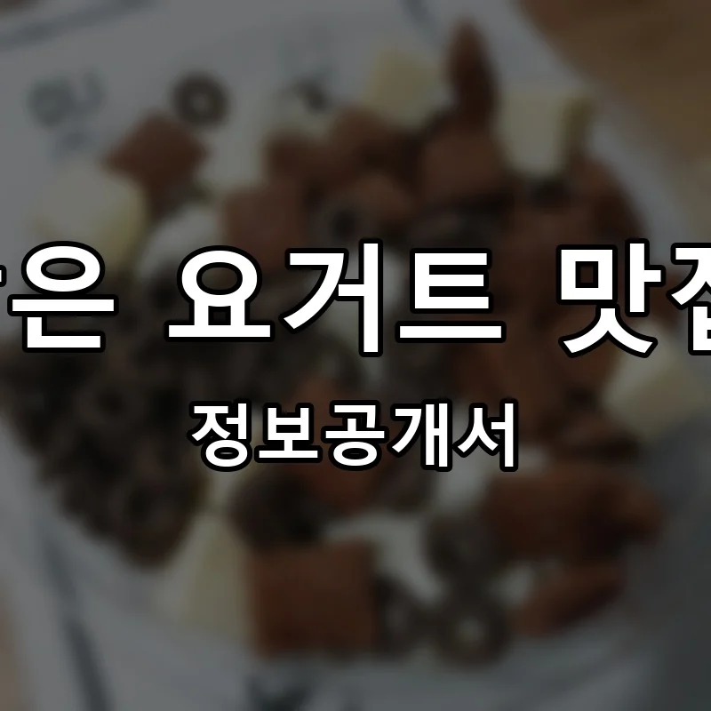 과일담은 요거트 맛집 요맛 프랜차이즈 창업 비용 정보공개서 요약