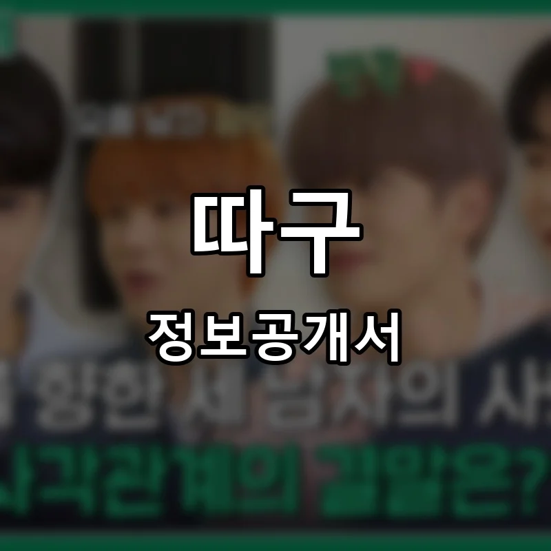 따구 프랜차이즈 창업 비용 정보공개서 요약