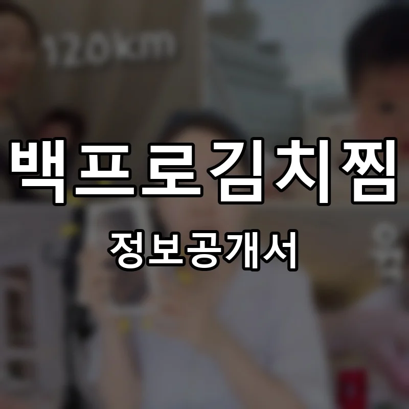 백프로김치찜 프랜차이즈 창업 비용 정보공개서 요약