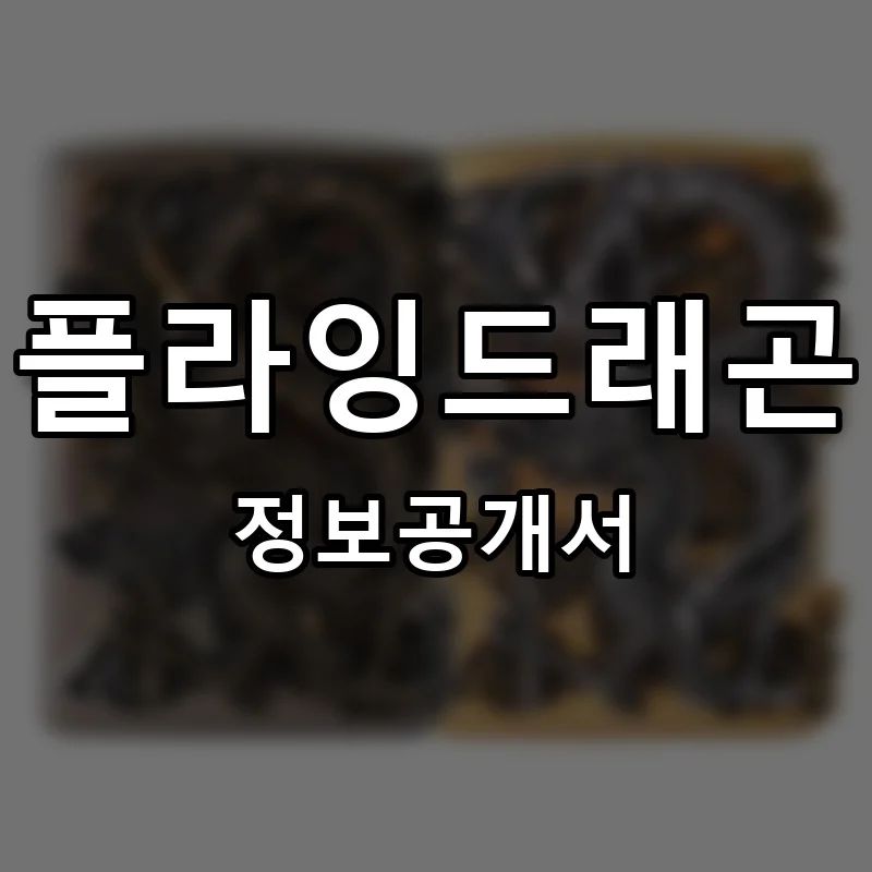 플라잉드래곤 프랜차이즈 정보공개서