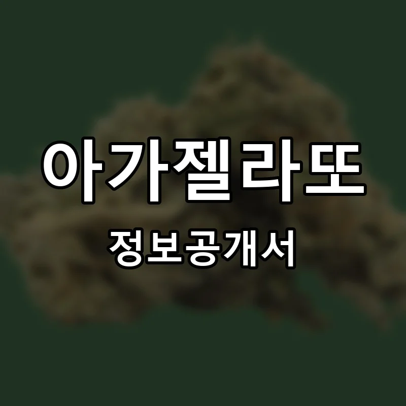 아가젤라또(a.ga gelato) 프랜차이즈 창업 비용 정보공개서 요약