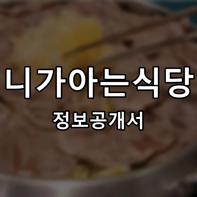 니가아는식당 프랜차이즈 창업 비용 정보공개서 요약