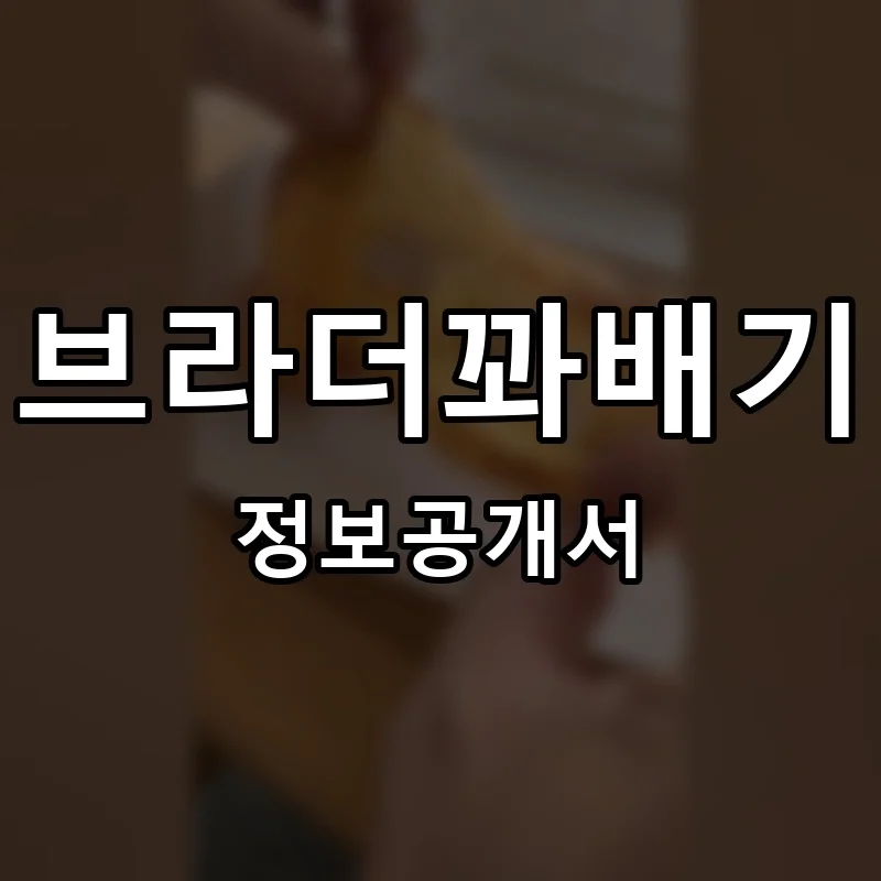 브라더꽈배기 프랜차이즈 창업 비용 정보공개서 요약