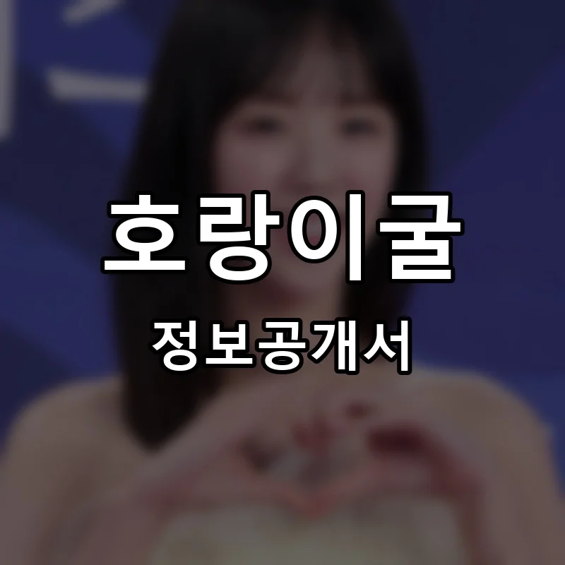 호랑이굴 프랜차이즈 창업 비용 정보공개서 요약