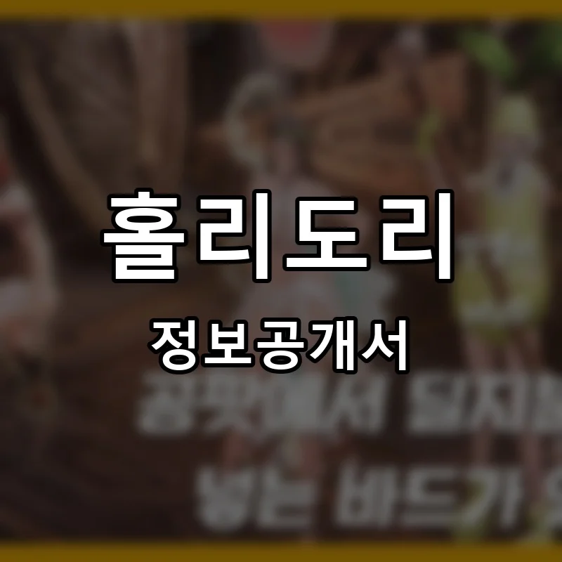 홀리도리 프랜차이즈 정보공개서