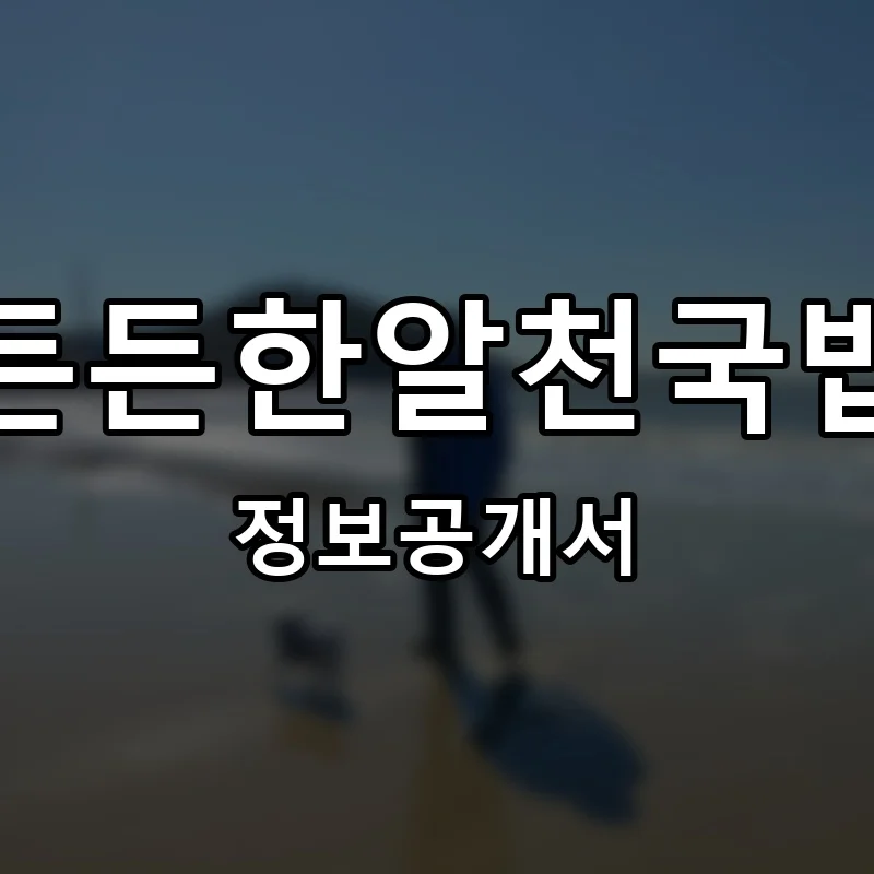 든든한알천국밥 프랜차이즈 정보공개서 요약 2025.07.17