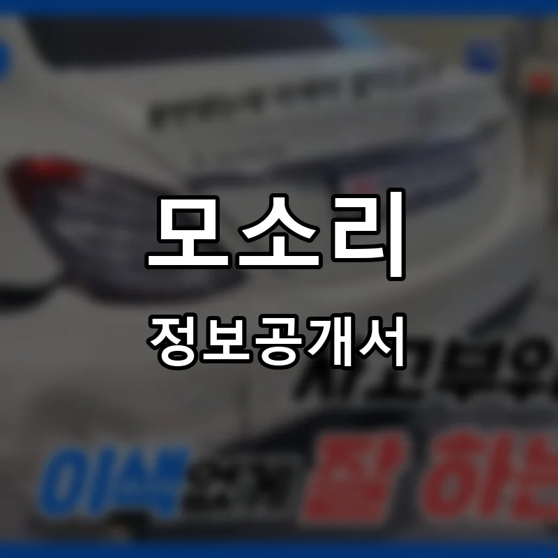 모소리 프랜차이즈 창업 비용 정보공개서 요약