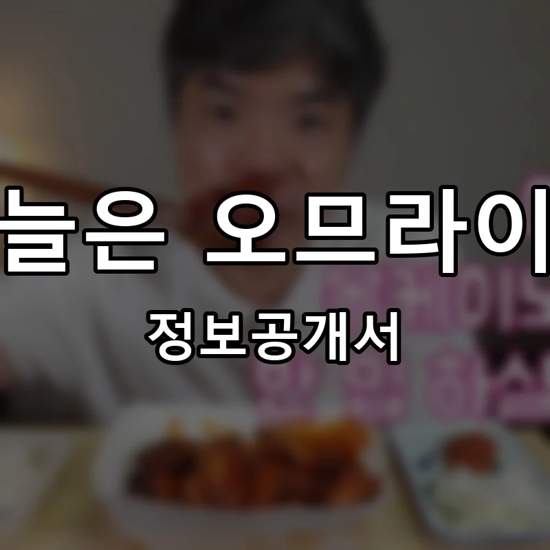 오늘은 오므라이스 프랜차이즈 창업 비용 정보공개서 요약