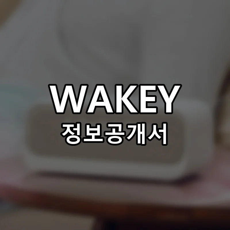 WAKEY(웨이키) 프랜차이즈 창업 비용 정보공개서 요약