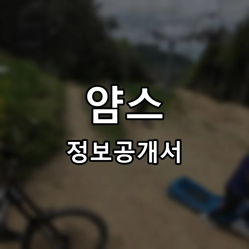 얌스 프랜차이즈 창업 비용 정보공개서 요약