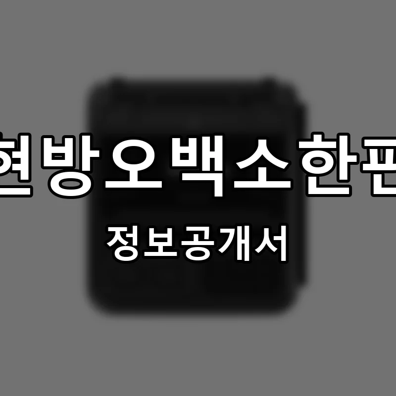현방오백소한판 프랜차이즈 창업 비용 정보공개서 요약