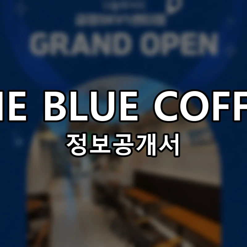 THE BLUE COFFEE 프랜차이즈 정보공개서