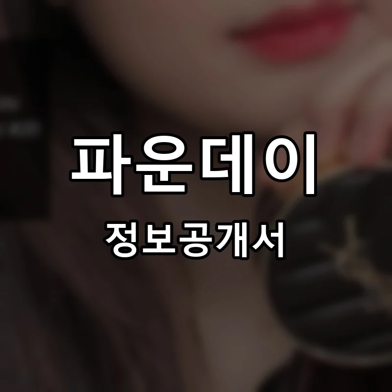 파운데이 프랜차이즈 창업 비용 정보공개서 요약