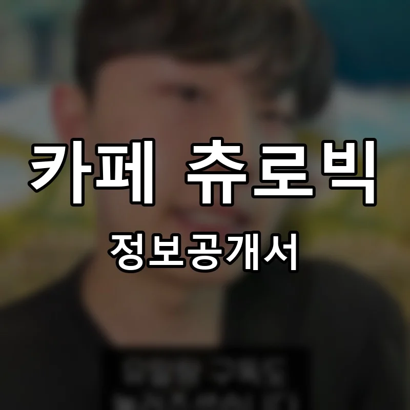 카페 츄로빅 프랜차이즈 창업 비용 정보공개서 요약