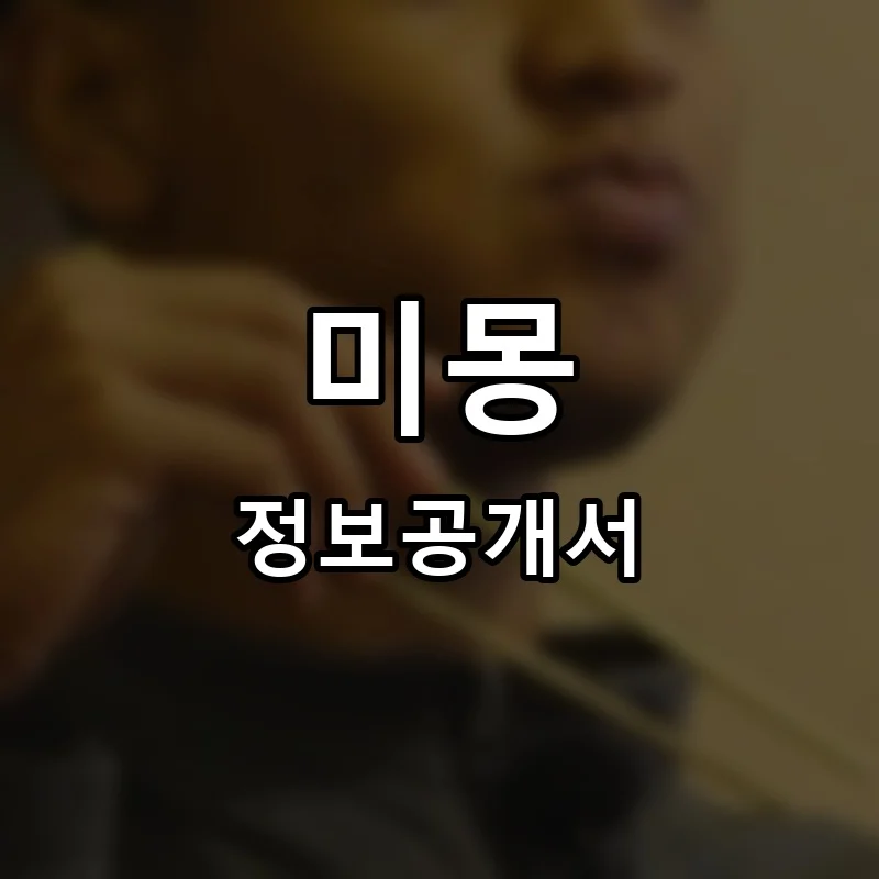 미몽 프랜차이즈 정보공개서 요약 2025.07.29