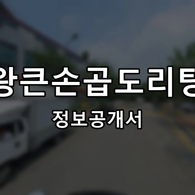 왕큰손곱도리탕 프랜차이즈 창업 비용 정보공개서 요약