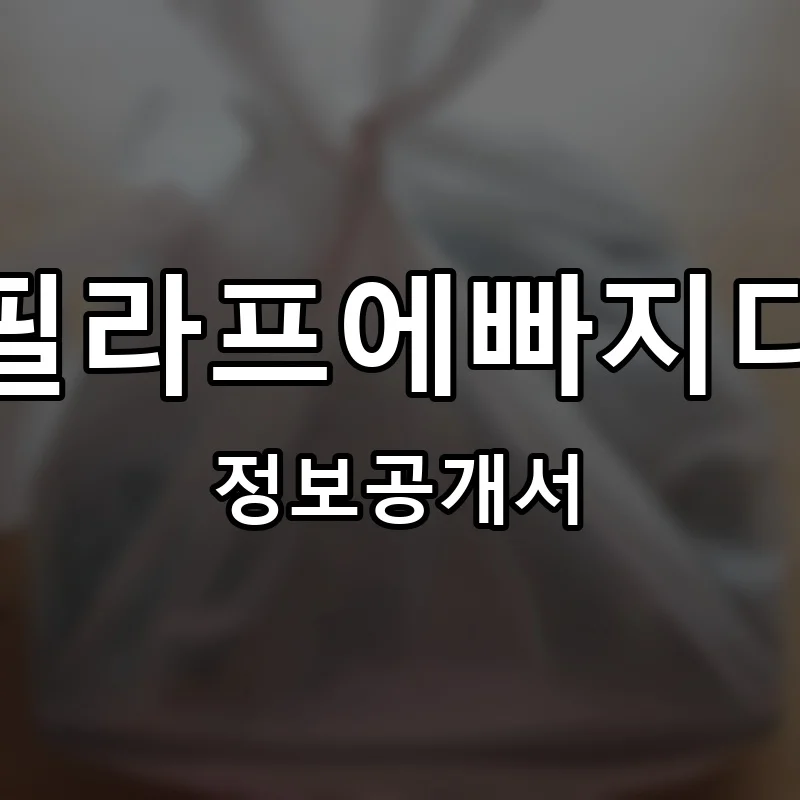 필라프에빠지다 프랜차이즈 정보공개서