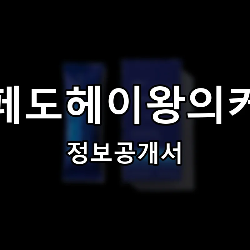 카페도헤이왕의커피 프랜차이즈 창업 비용 정보공개서 요약