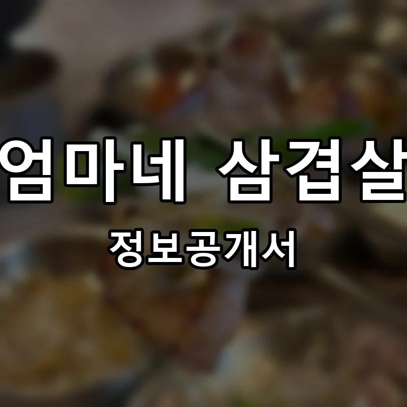 엄마네 삼겹살 프랜차이즈 창업 비용 정보공개서 요약