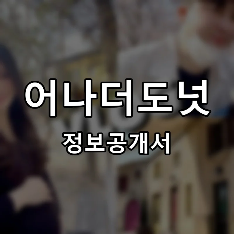 어나더도넛 프랜차이즈 창업 비용 정보공개서 요약