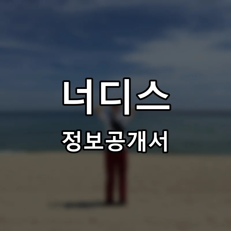 너디스 프랜차이즈 창업 비용 정보공개서 요약