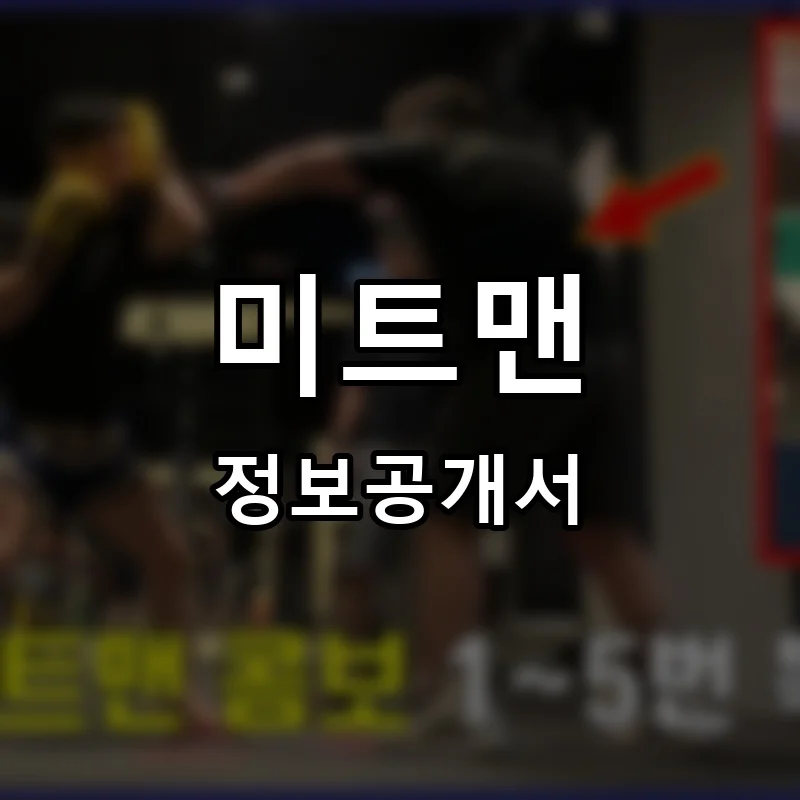 미트맨(MEATMAN) 프랜차이즈 창업 비용 정보공개서 요약