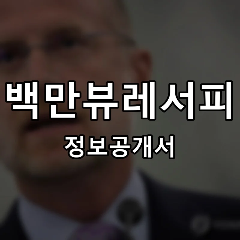 백만뷰레서피 프랜차이즈 창업 비용 정보공개서 요약