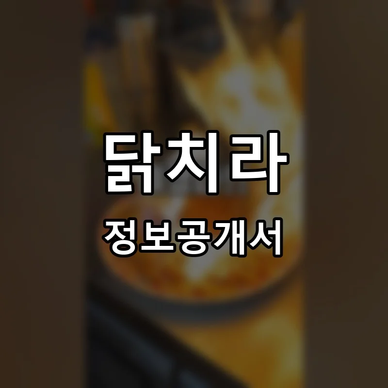 닭치라 프랜차이즈 창업 비용 정보공개서 요약