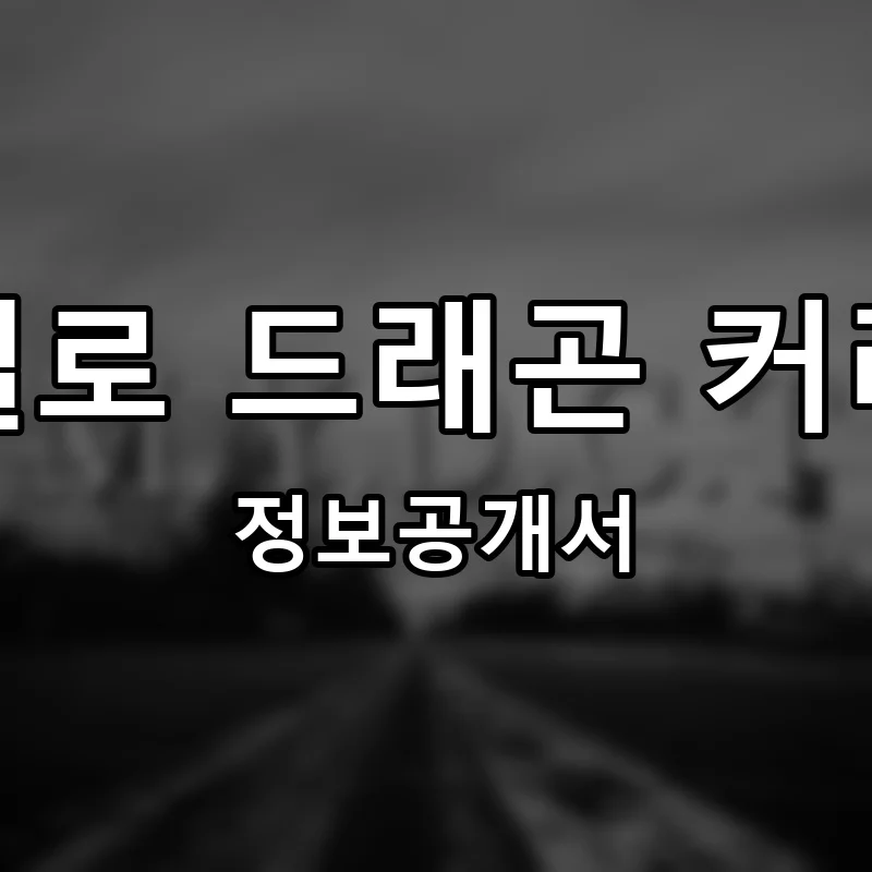 옐로 드래곤 커리 프랜차이즈 정보공개서